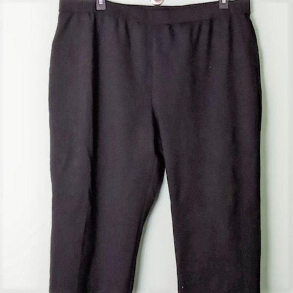 NWT Susan Graver pull on pants knit